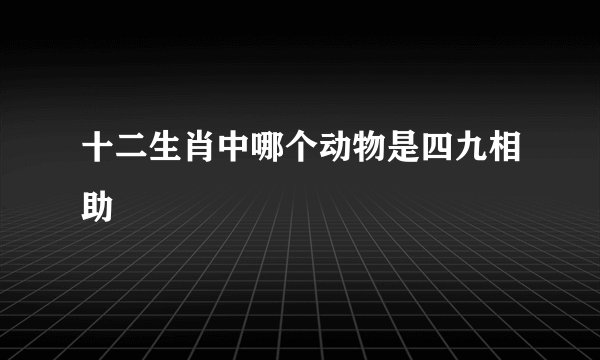 十二生肖中哪个动物是四九相助