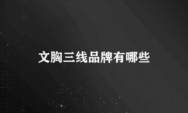 文胸三线品牌有哪些