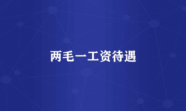 两毛一工资待遇