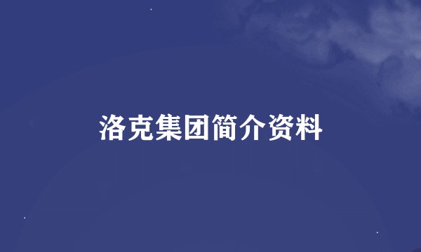 洛克集团简介资料