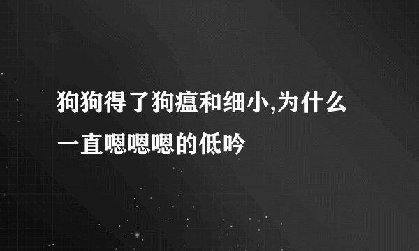 狗狗得了狗瘟和细小,为什么一直嗯嗯嗯的低吟