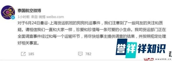 爱犬托运后死亡,知名女星李紫婷愤怒发声!泰国航空官方回应