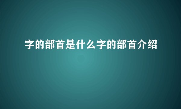 字的部首是什么字的部首介绍