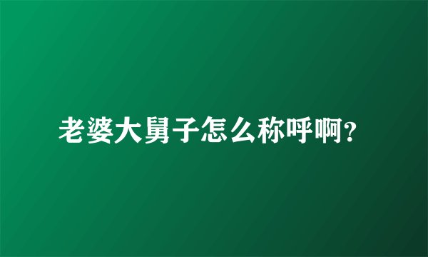 老婆大舅子怎么称呼啊？