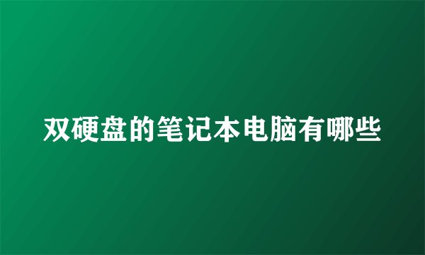 双硬盘的笔记本电脑有哪些