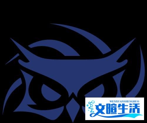 2020全球总决赛巡礼Papara SuperMassive：猫头鹰复归，KaKAO变秃也变强