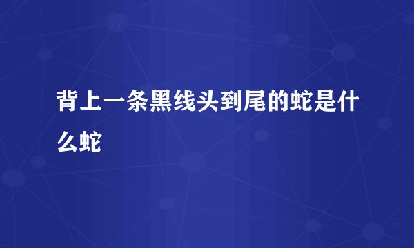 背上一条黑线头到尾的蛇是什么蛇