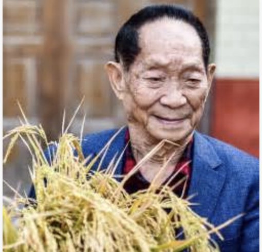 委员建议将袁隆平逝世日设为全国节约粮食日，你怎么看？