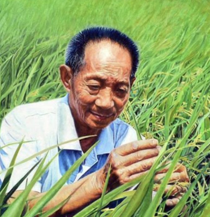 委员建议将袁隆平逝世日设为全国节约粮食日，你怎么看？