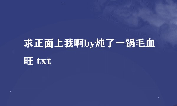 求正面上我啊by炖了一锅毛血旺 txt