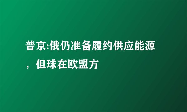 普京:俄仍准备履约供应能源,但球在欧盟方