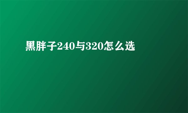 黑胖子240与320怎么选