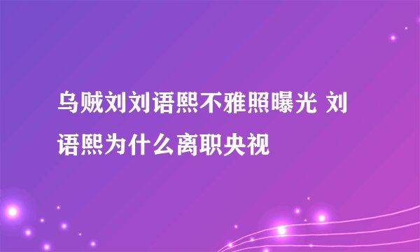 乌贼刘刘语熙不雅照曝光 刘语熙为什么离职央视