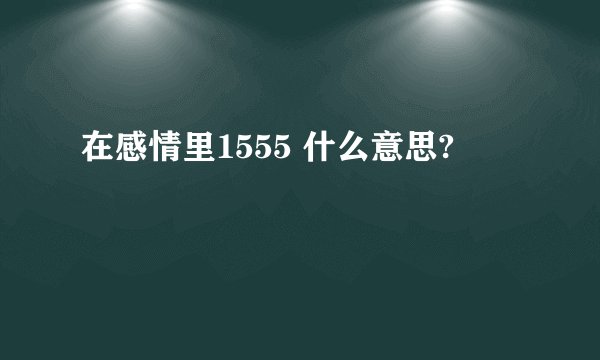 在感情里1555 什么意思?