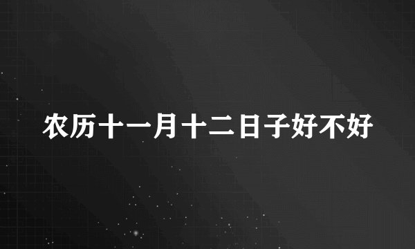 农历十一月十二日子好不好