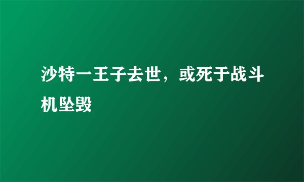 沙特一王子去世，或死于战斗机坠毁