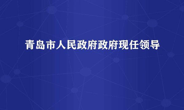 青岛市人民政府政府现任领导