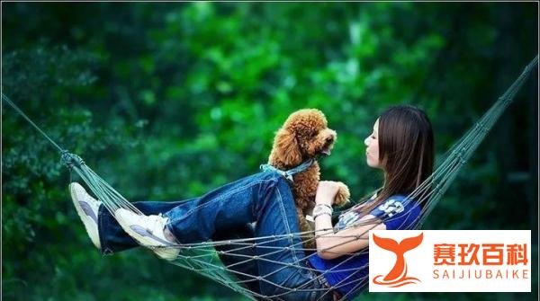 【宠物界福尔摩斯】——失踪宠物案的夏洛克和华生