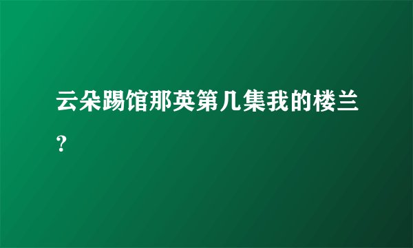 云朵踢馆那英第几集我的楼兰？