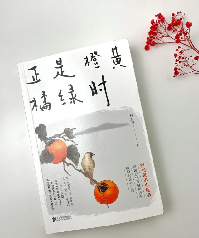 有什么好看的书籍推荐下?