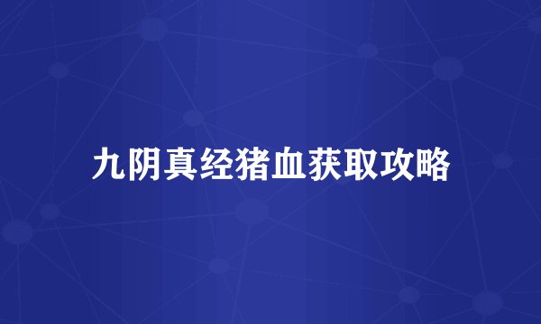 九阴真经猪血获取攻略
