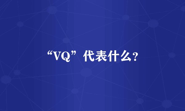 “VQ”代表什么？