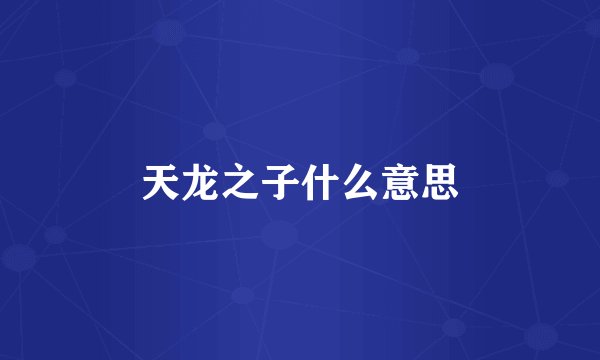 天龙之子什么意思