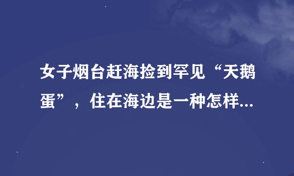 女子烟台赶海捡到罕见“天鹅蛋”，住在海边是一种怎样的体验？