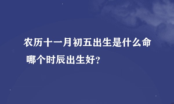 农历十一月初五出生是什么命 哪个时辰出生好?