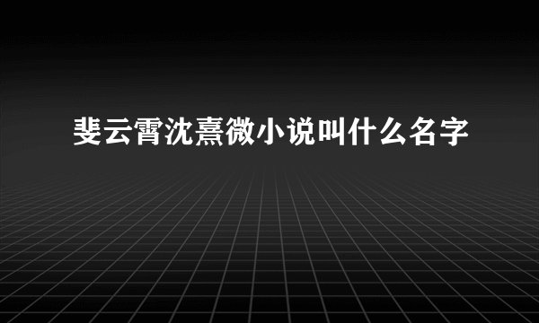 斐云霄沈熹微小说叫什么名字