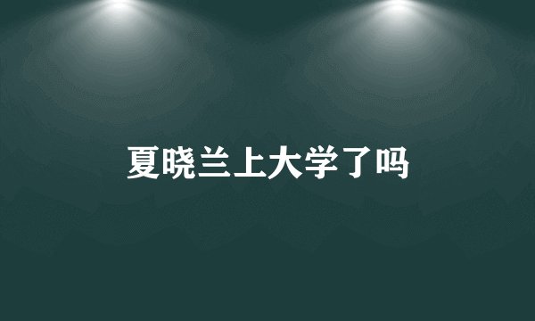 夏晓兰上大学了吗