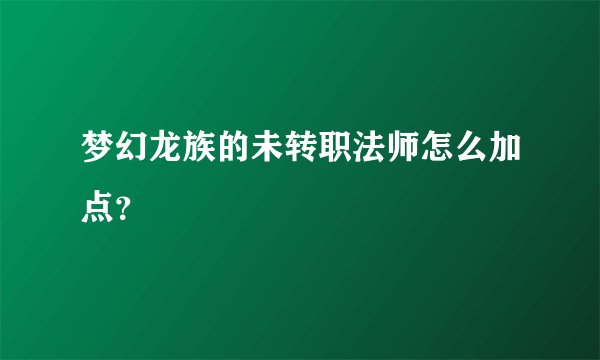 梦幻龙族的未转职法师怎么加点？