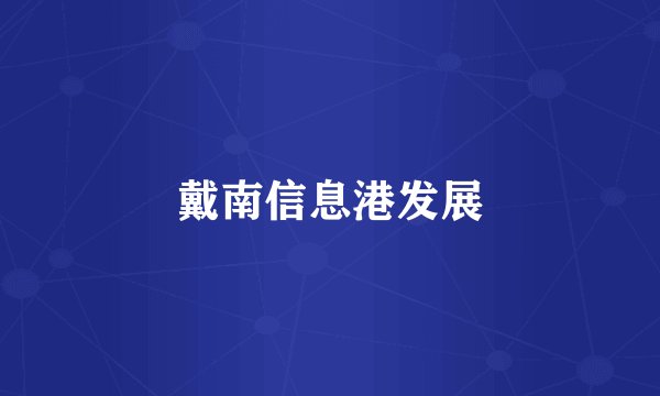 戴南信息港发展
