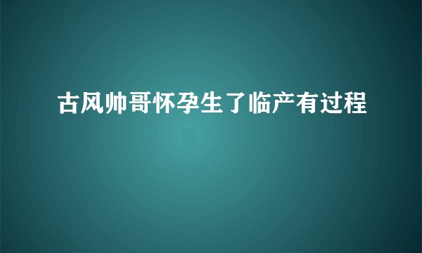 古风帅哥怀孕生了临产有过程
