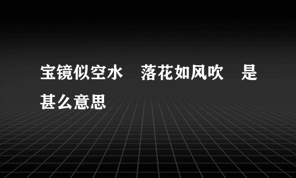 宝镜似空水 落花如风吹 是甚么意思