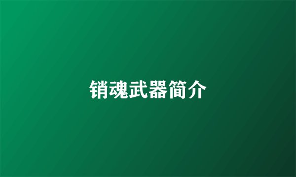销魂武器简介