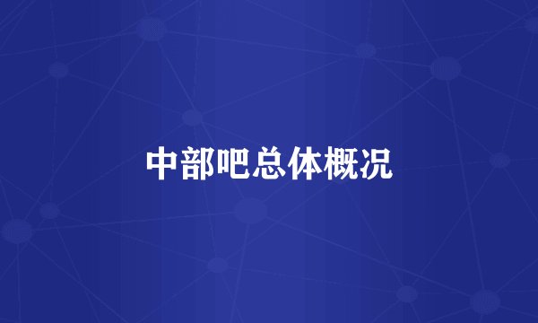 中部吧总体概况