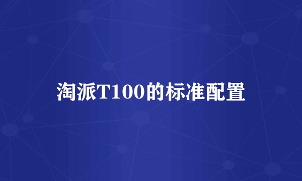 淘派T100的标准配置