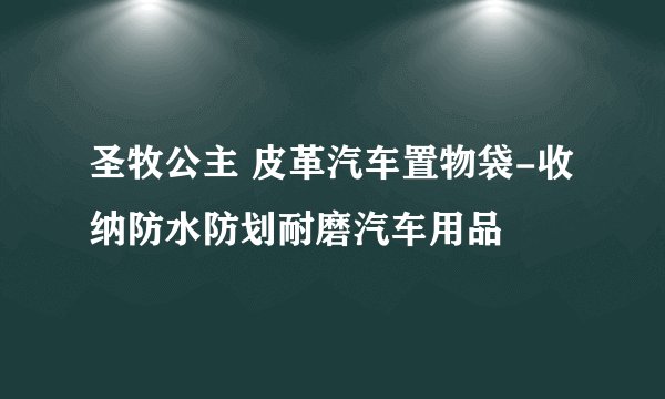 圣牧公主 皮革汽车置物袋-收纳防水防划耐磨汽车用品