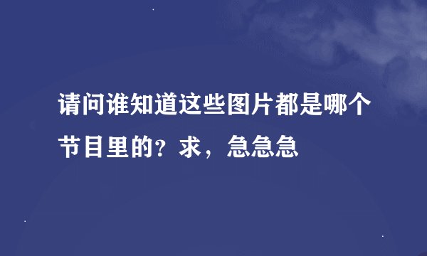 请问谁知道这些图片都是哪个节目里的？求，急急急