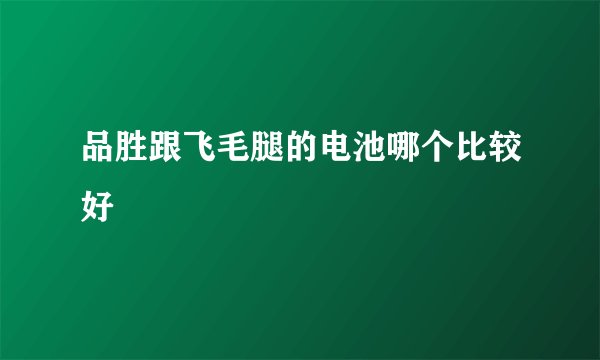 品胜跟飞毛腿的电池哪个比较好