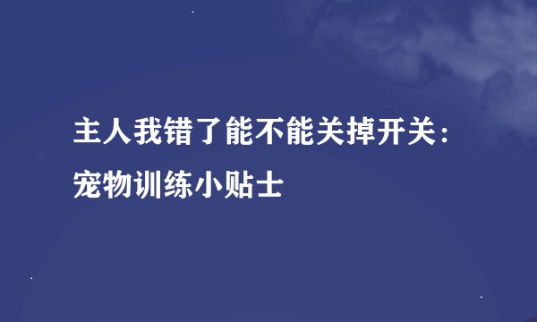 主人我错了能不能关掉开关：宠物训练小贴士