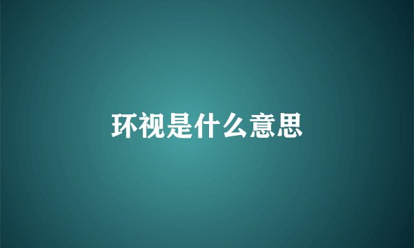 环视是什么意思