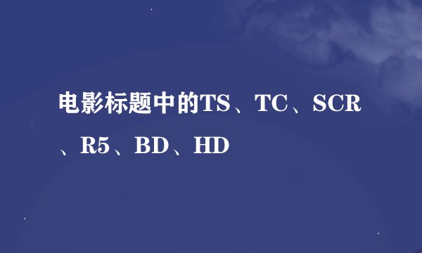 电影标题中的TS、TC、SCR、R5、BD、HD