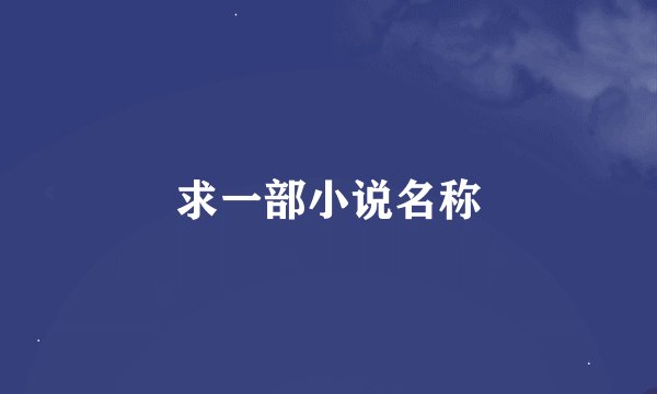 求一部小说名称