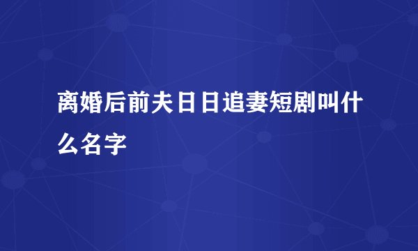 离婚后前夫日日追妻短剧叫什么名字