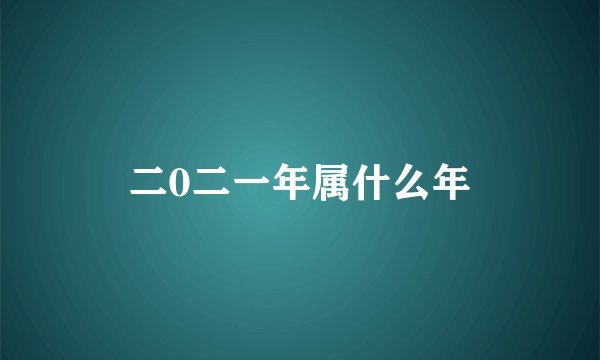 二0二一年属什么年