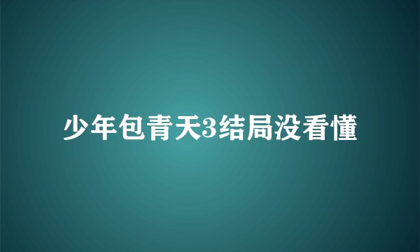 少年包青天3结局没看懂