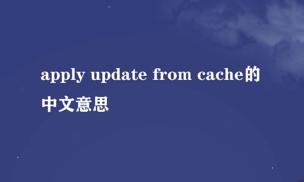 apply update from cache的中文意思