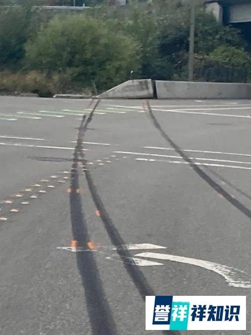 令人发指！苹果华人女程序员在美醉酒飙车，害死华人男伴，逃回中国……